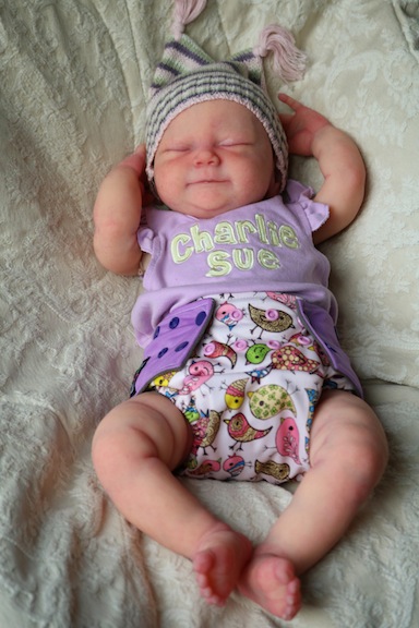 Charlie reborn by Susan Gibbs