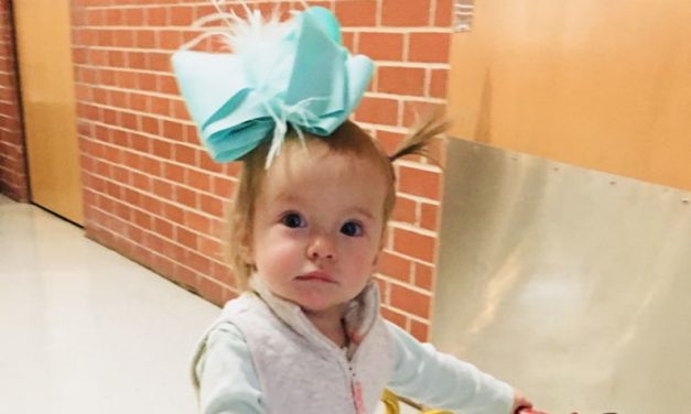 Madame & More: Dolls donated to Rehab 2019 fundraising auction