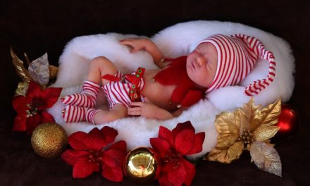 Bag of Goodies: Susan Gibbs creates bassinet bags for reborn baby dolls