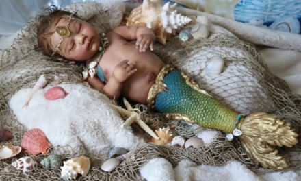 Enchanted Kreature Kits Specializes in Fantasy Reborns