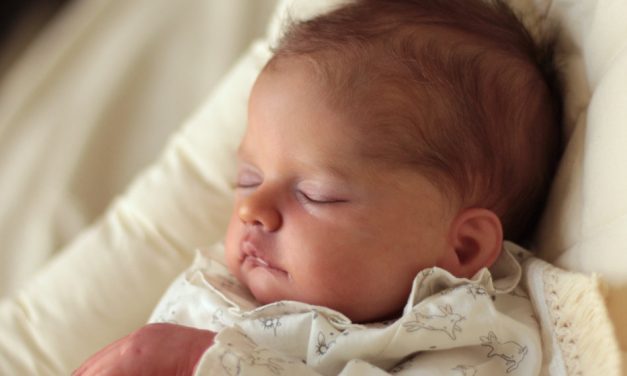 Discovering Reborns Leads Veronica Lale to New Career